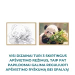 dekoratyvinis-paveikslelis-su-led-apsvietimu