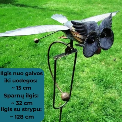 skraidantis-paukstis-sodo-dekoracija-erelis-peleda-kolibris
