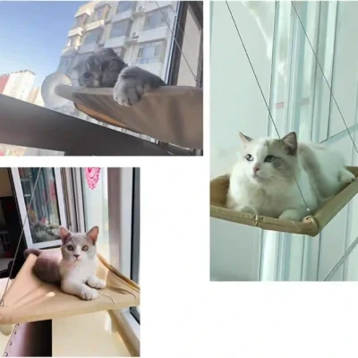 kates-hamakas-ant-lango-su-siurbtukais