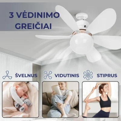 lubinis-sviestuvas-ventiliatorius-40w