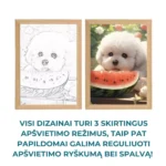 dekoratyvinis-paveikslelis-su-led-apsvietimu