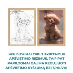 dekoratyvinis-paveikslelis-su-led-apsvietimu