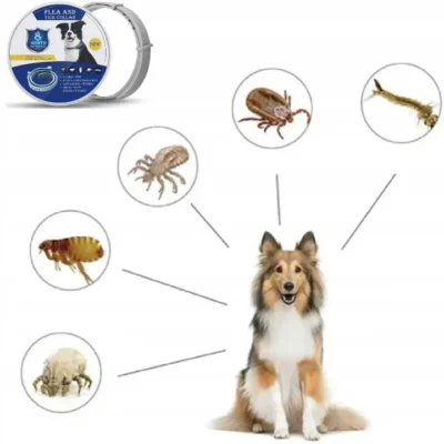 nuo-erkiu-ir-blusu-apsaugantis-antkaklis-augintiniams