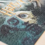 delione-harry-potter-and-the-chamber-of-secrets-500d