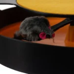 zaislas-katems-ratas-su-pele