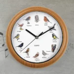 sieninis-laikrodis-su-pauksciu-garsais