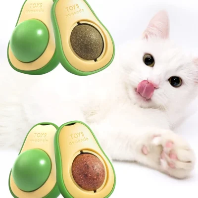 katzoles-zaislas-katems-avokadas