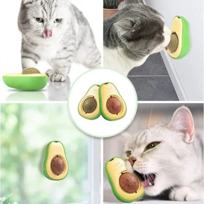 katzoles-zaislas-katems-avokadas