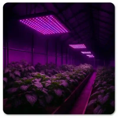 augalu-auginimo-led-lempa-60-w-full-spectrum