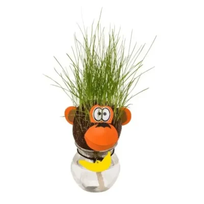 zoliagalvis-oliziukas-augantis-zoles-gyvunelis