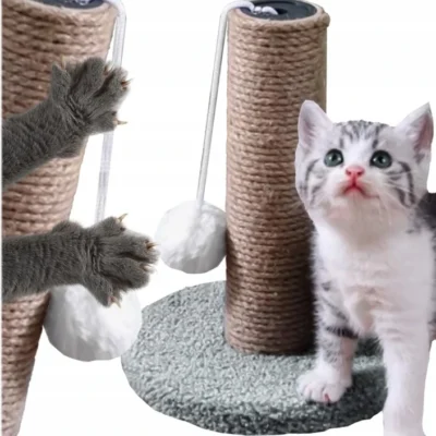 katinu-draskykle-su-kamuoliuku-22-cm