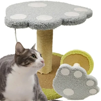 katinu-draskykle-su-platforma-ir-kamuoliuku-25-cm