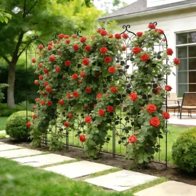 metaline-atrama-vijokliniams-augalams-220x525-cm-6-vnt