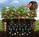 ovalios-metalines-lysves-su-aliuminio-cinko-danga-120x60x30-cm-2-vnt