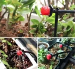 laselinio-laistymo-sistema-sodui-ir-siltnamiui-30-m