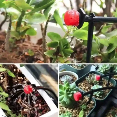 laselinio-laistymo-sistema-sodui-ir-siltnamiui-30-m