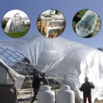 skaidri-siltnamio-plevele